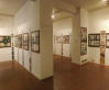 2012-Civico Museo di Montecarotto-AN_6